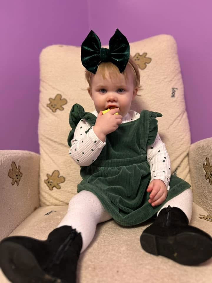 NOVEMBER (green velvet)