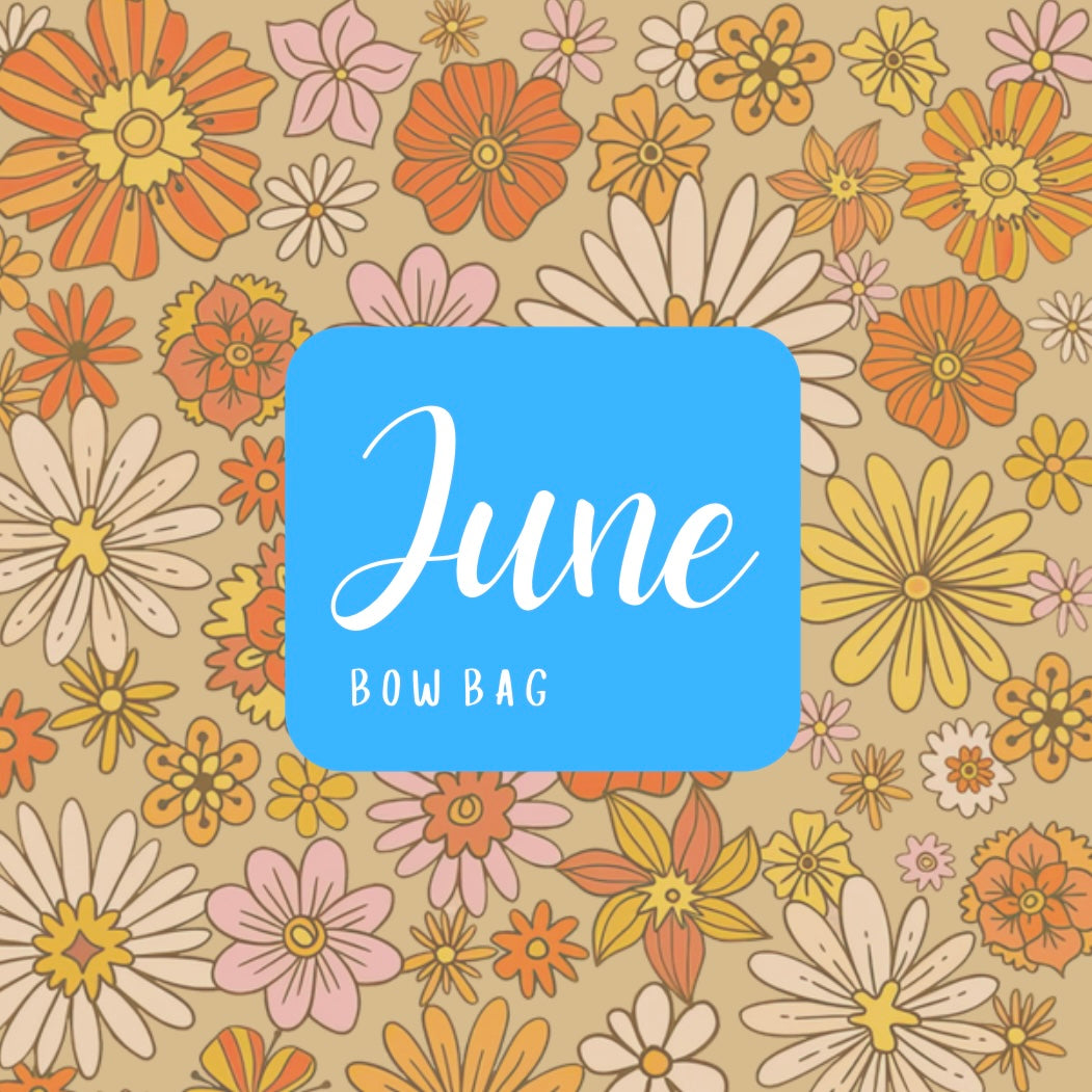JUNE MYSTERY BOW BAGS 2026