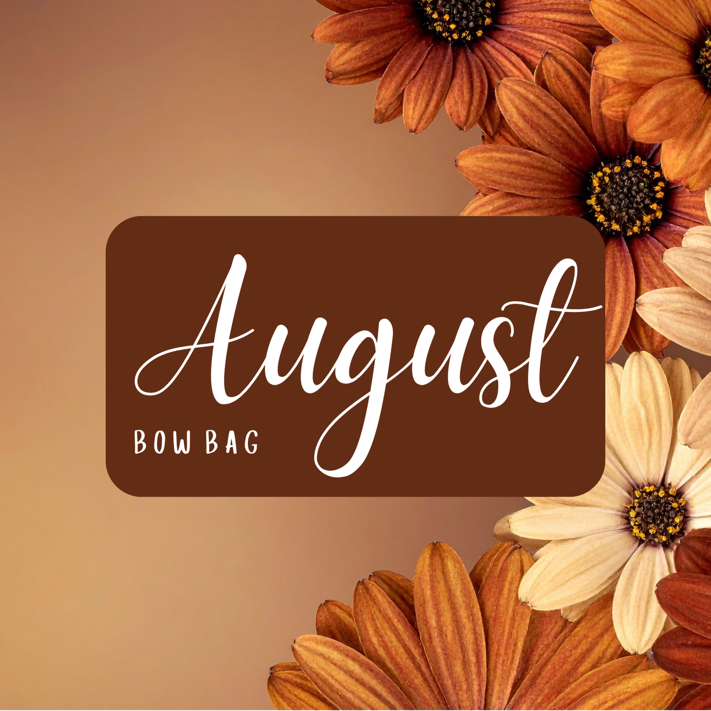 AUGUST MYSTERY BOW BAGS 2026