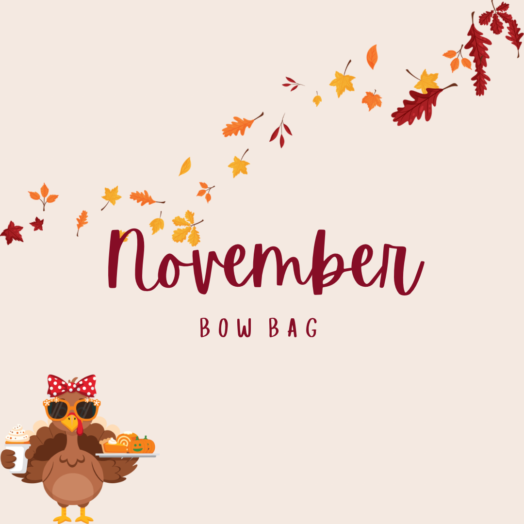 NOVEMBER MYSTERY BOW BAGS 2025