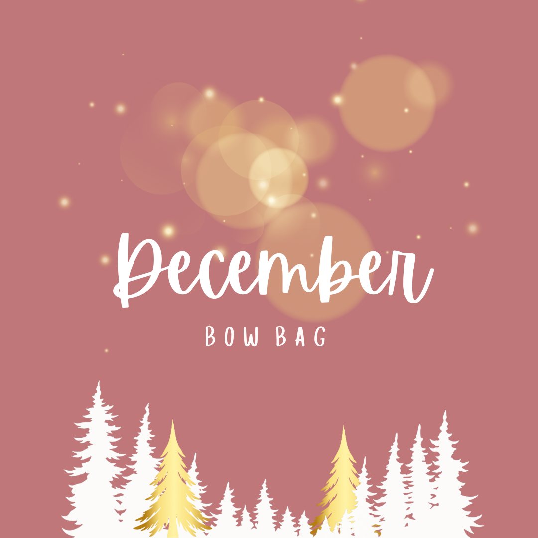 DECEMBER MYSTERY BOW BAGS 2025