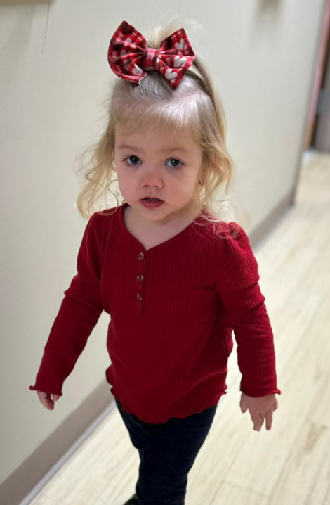 Queen of Hearts (velvet)